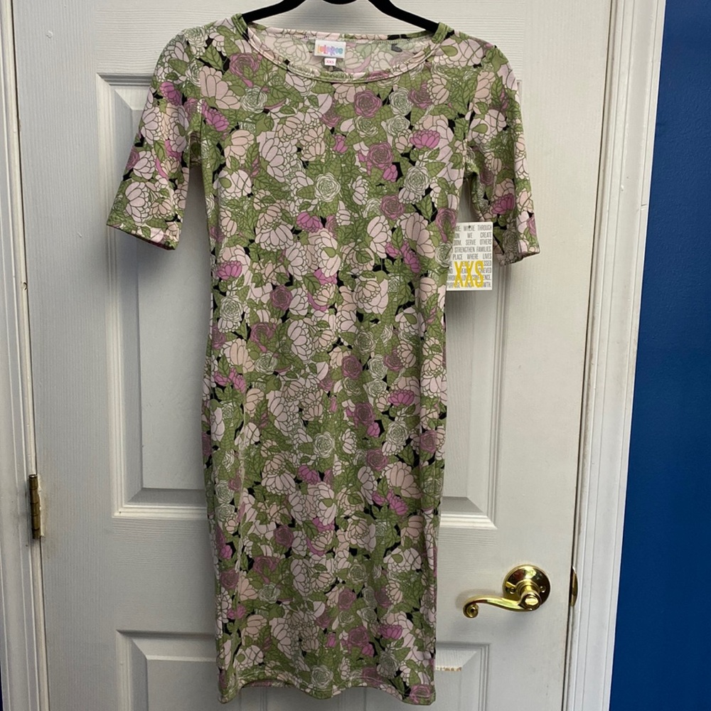 LulaRoe Julia Body Con Printed Green and Pink Dress, XXS NWT